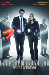 საიდუმლო მასალები / saidumlo masalebi