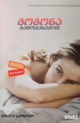გოგონა გამოძახებით / The Girlfriend Experience