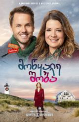 მოწყალე შობა / A Godwink Christmas