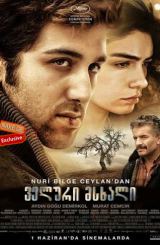 ველური მსხალი (ქართულად) (თურქული ფილმი) / Ahlat