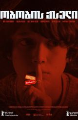 ობობის ქსელი / The Spiderwebhouse (Im