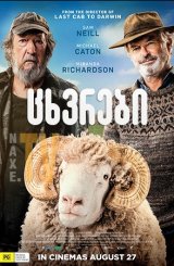 ცხვრები / Rams