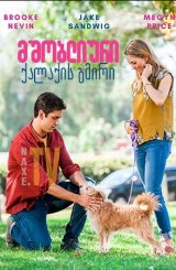 მშობლიური ქალაქის გმირი / Hometown Hero