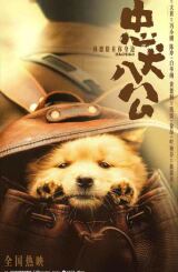 ბა ტონგი / Hachiko (Zhong quan ba gong)