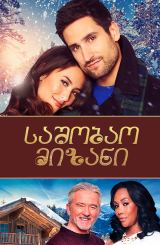 საშობაო მიზანი / Christmas with a View